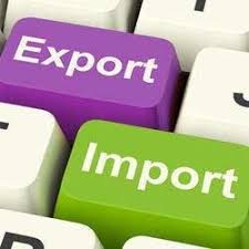 Importance of Import Export code in the business world